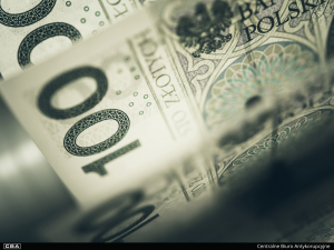 A close up of polish banknotes.